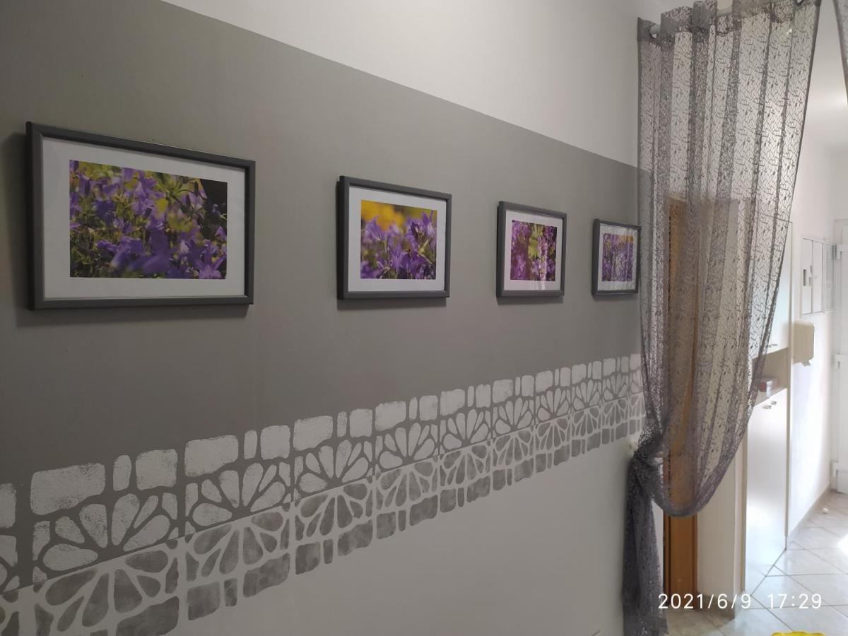 Apartment Sara Novi Vinodolski Dış mekan fotoğraf