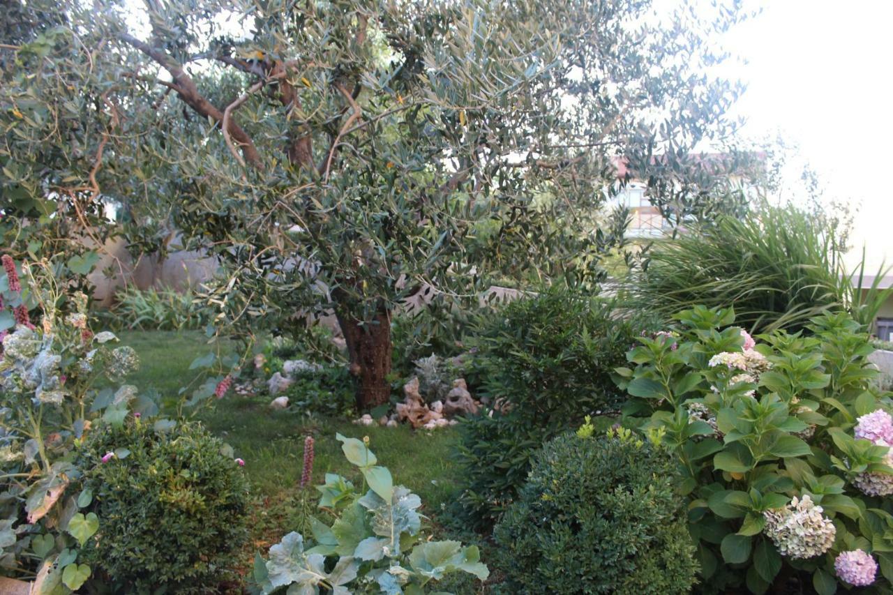 Apartment Sara Novi Vinodolski Dış mekan fotoğraf